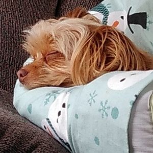 Meet your Posher, Kyle